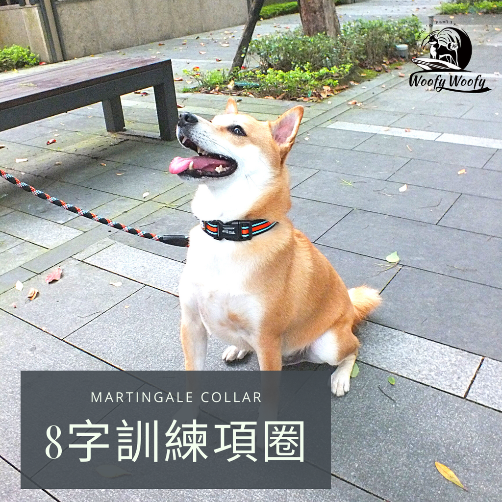 Martingale collar-黑-圓仔.png