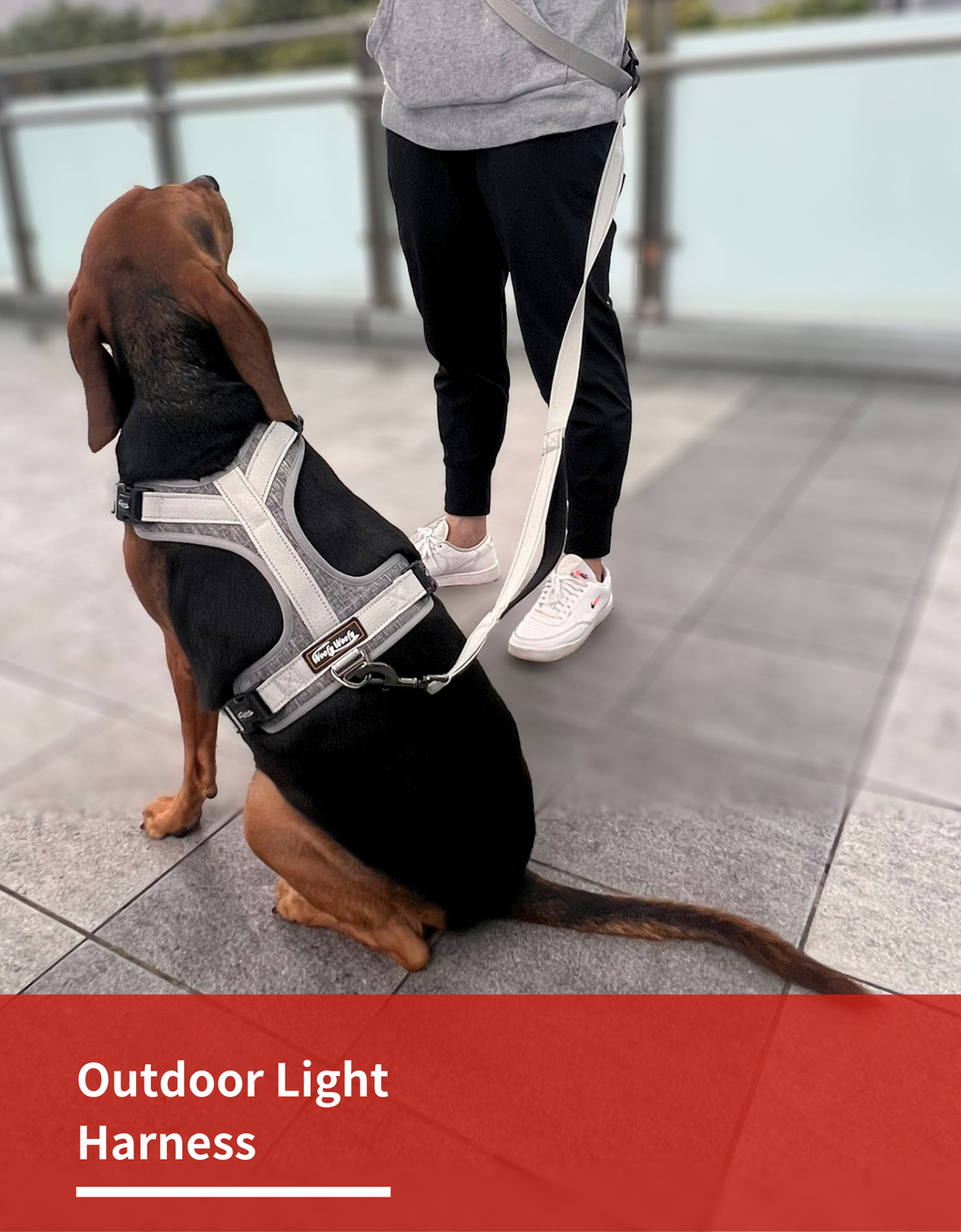 Outdoor Light Harness-Grey-Model show-2.png