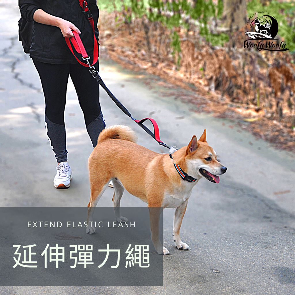 extend elastic leash紅-圓仔.png