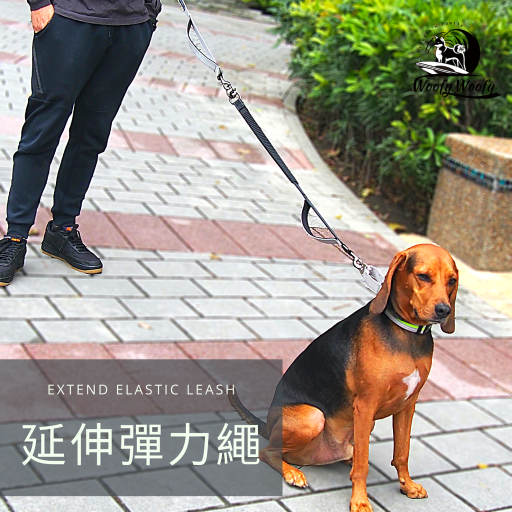 extend elastic leash-灰-皮皮.png