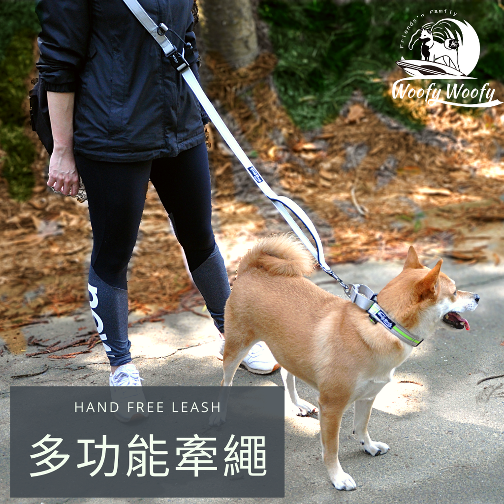 HAND FREE LEASH-灰.png