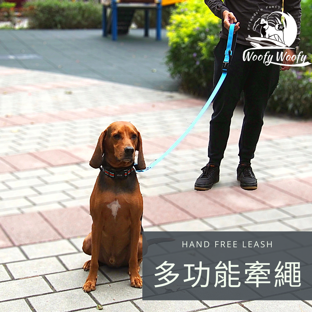 HAND FREE LEASH-藍.png