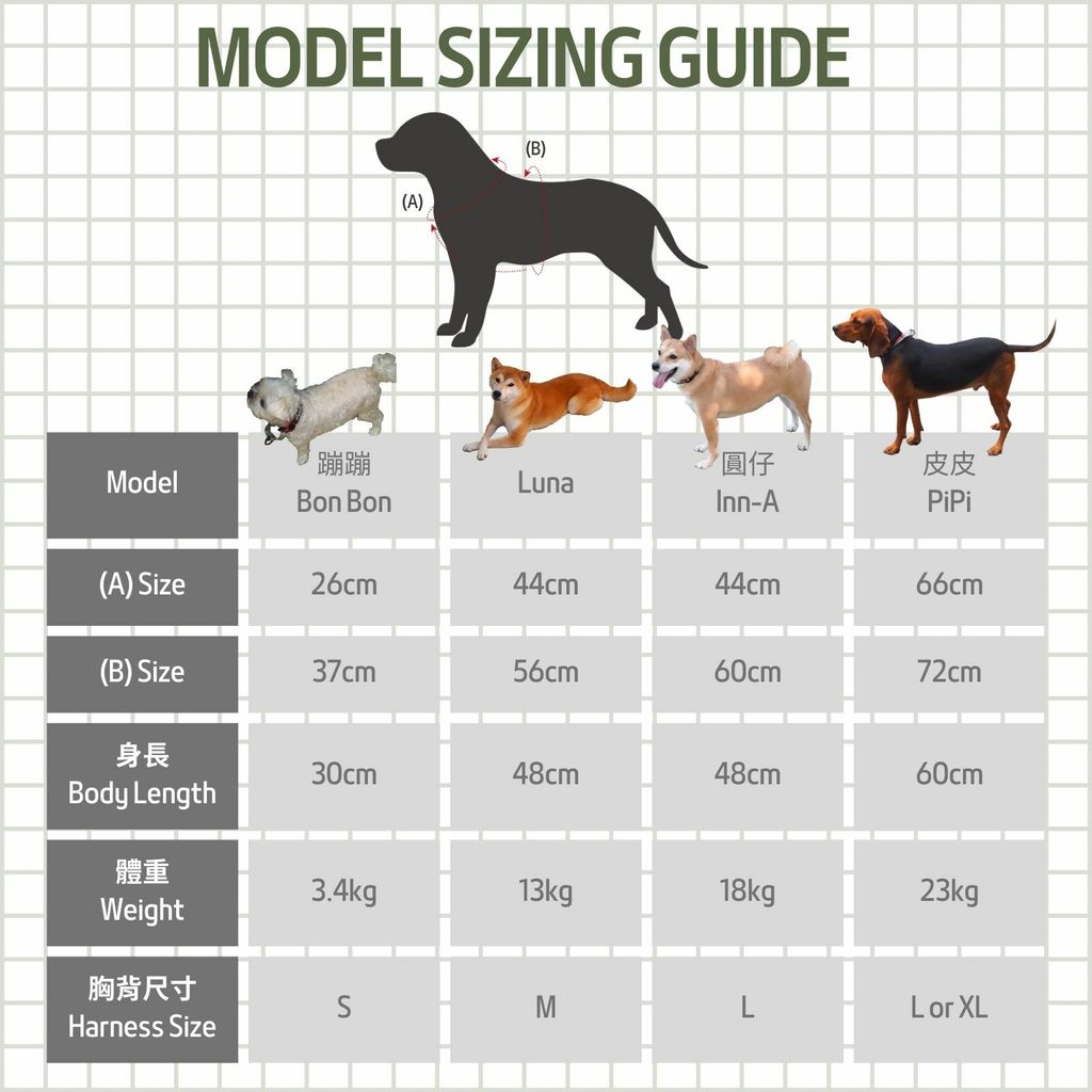 Model Size Chart-Pinkoi