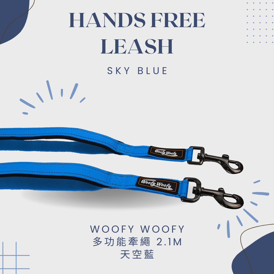 多功能牽繩2.1m-藍