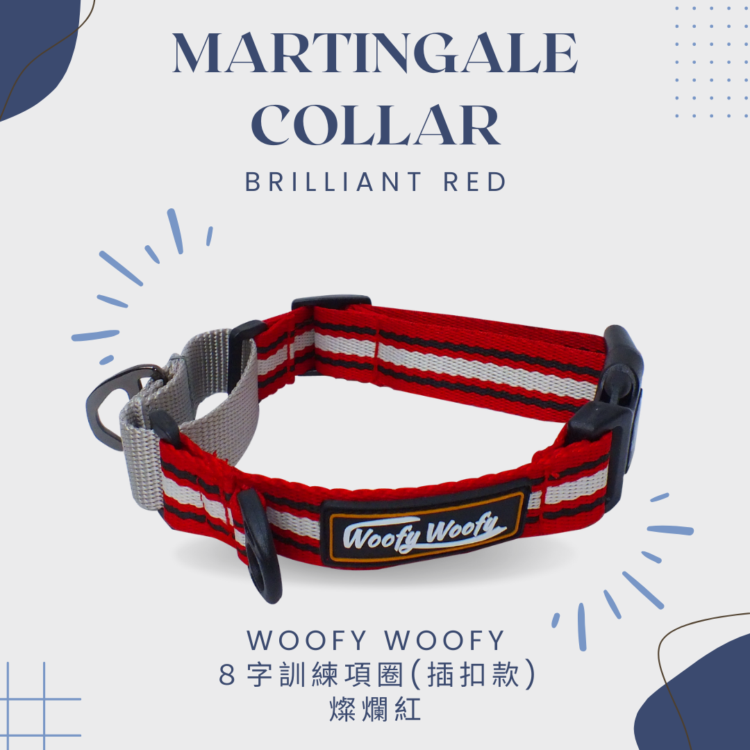 訓練項圈-紅