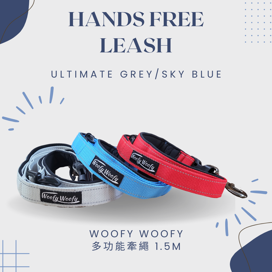 多功能牽繩1.5-３色