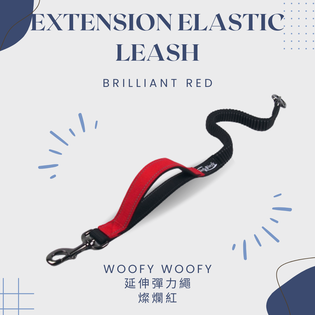 延伸彈力繩-紅