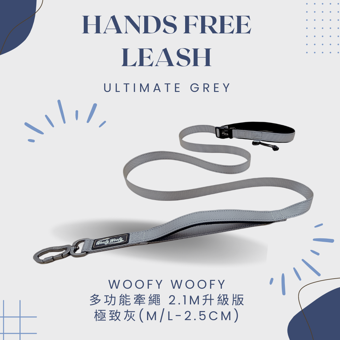 多功能牽繩2.1m-2.5-灰