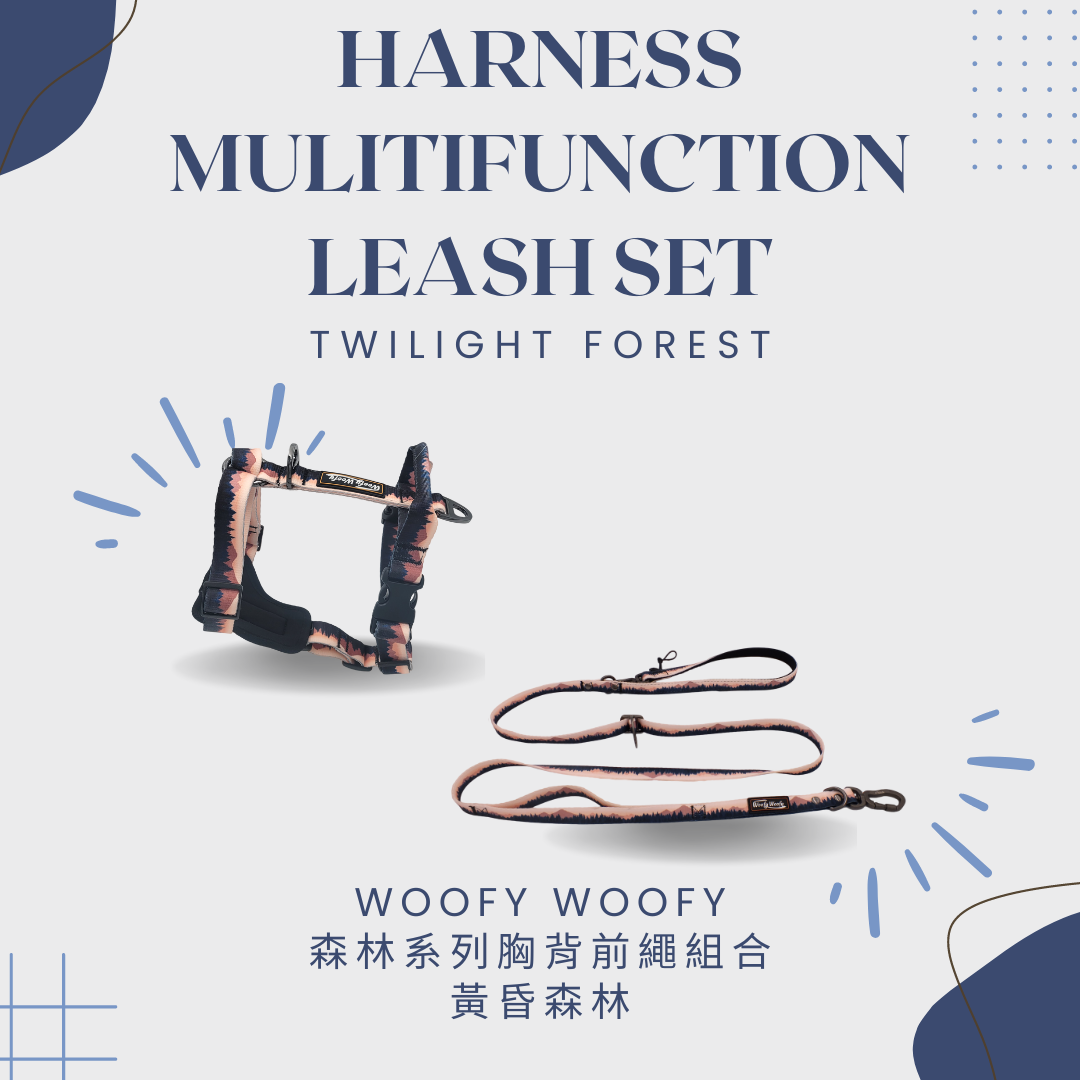 H胸背牽繩組－黃昏