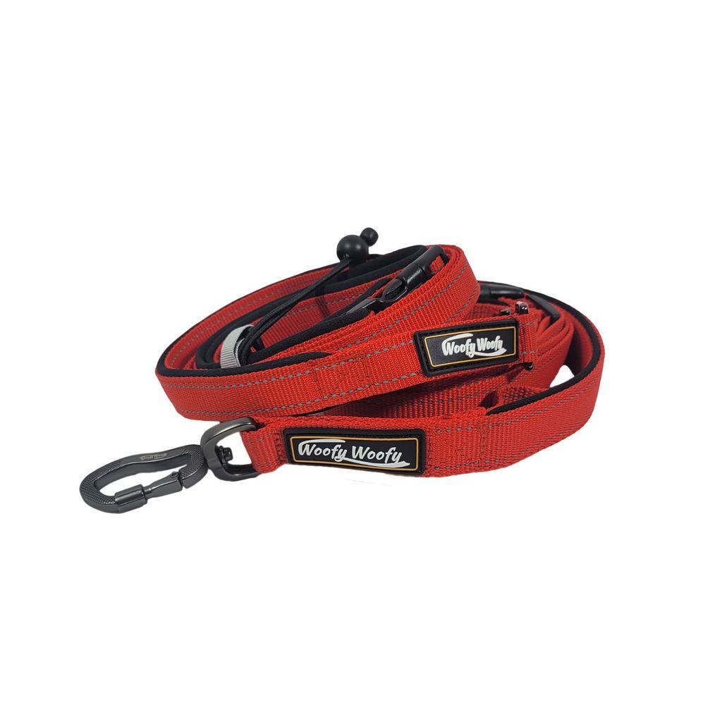 HAND FREE LEASH-7ft-AMAZON