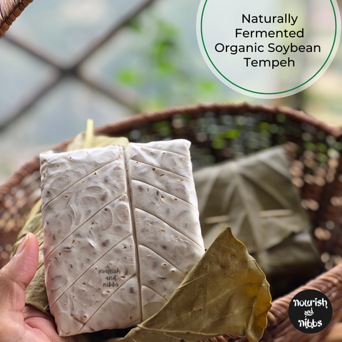Organic Soybean Tempeh_1.png
