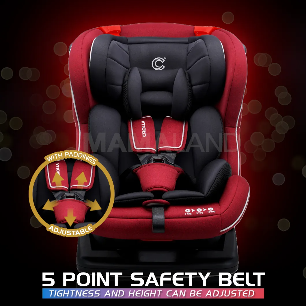 5 point safety belt