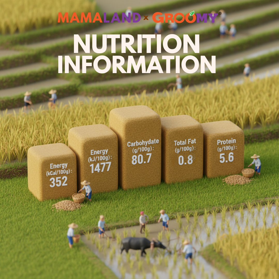Google AI Studio - Nutrition Value