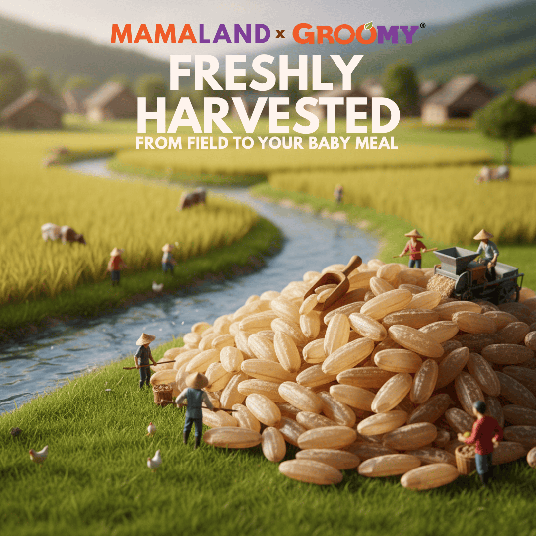 Google AI Studio - harvest from farm （small size)