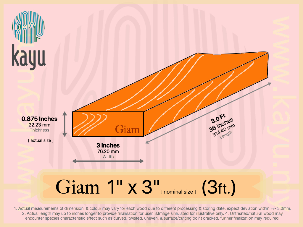 GIAM 1x3x3.jpg