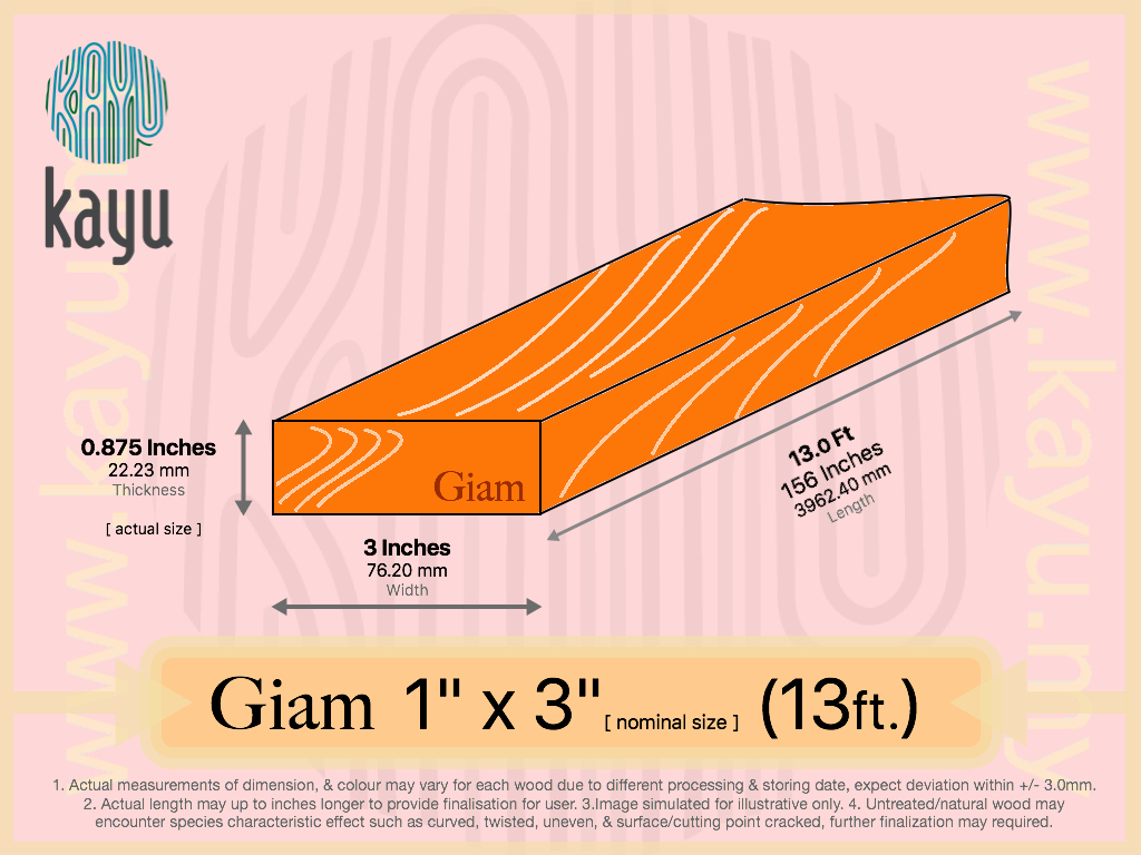 GIAM 1x3x13.jpg