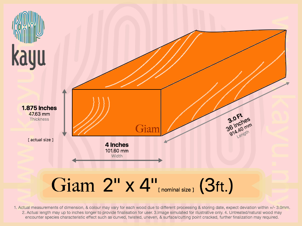 GIAM 2x4x3.jpg