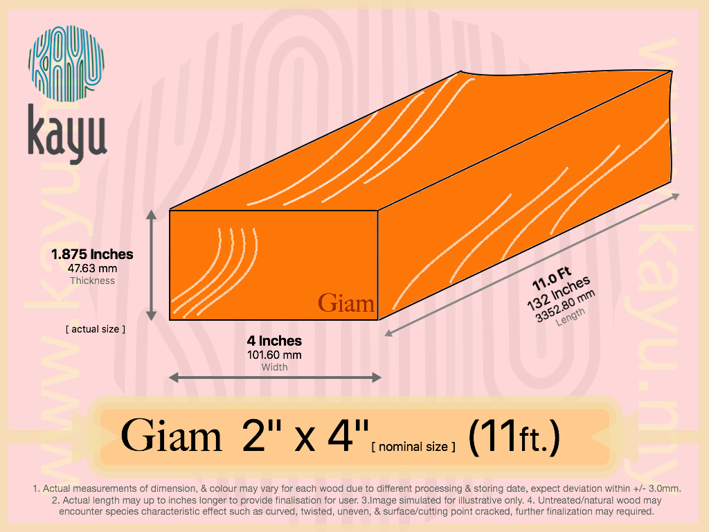 GIAM 2x4x11.jpg