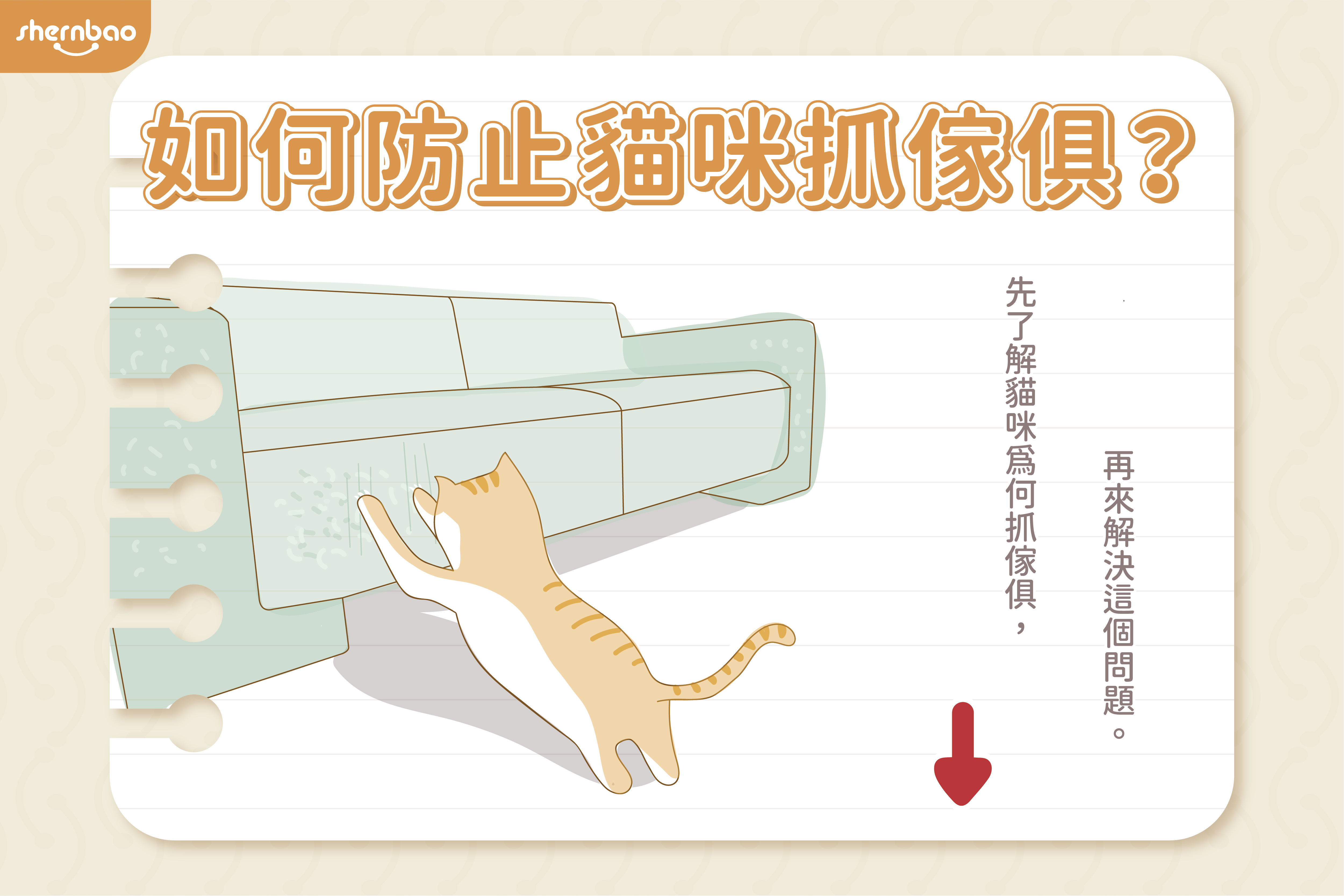 如何防止貓咪抓傢俱？還在為貓抓沙發床角苦惱嗎？