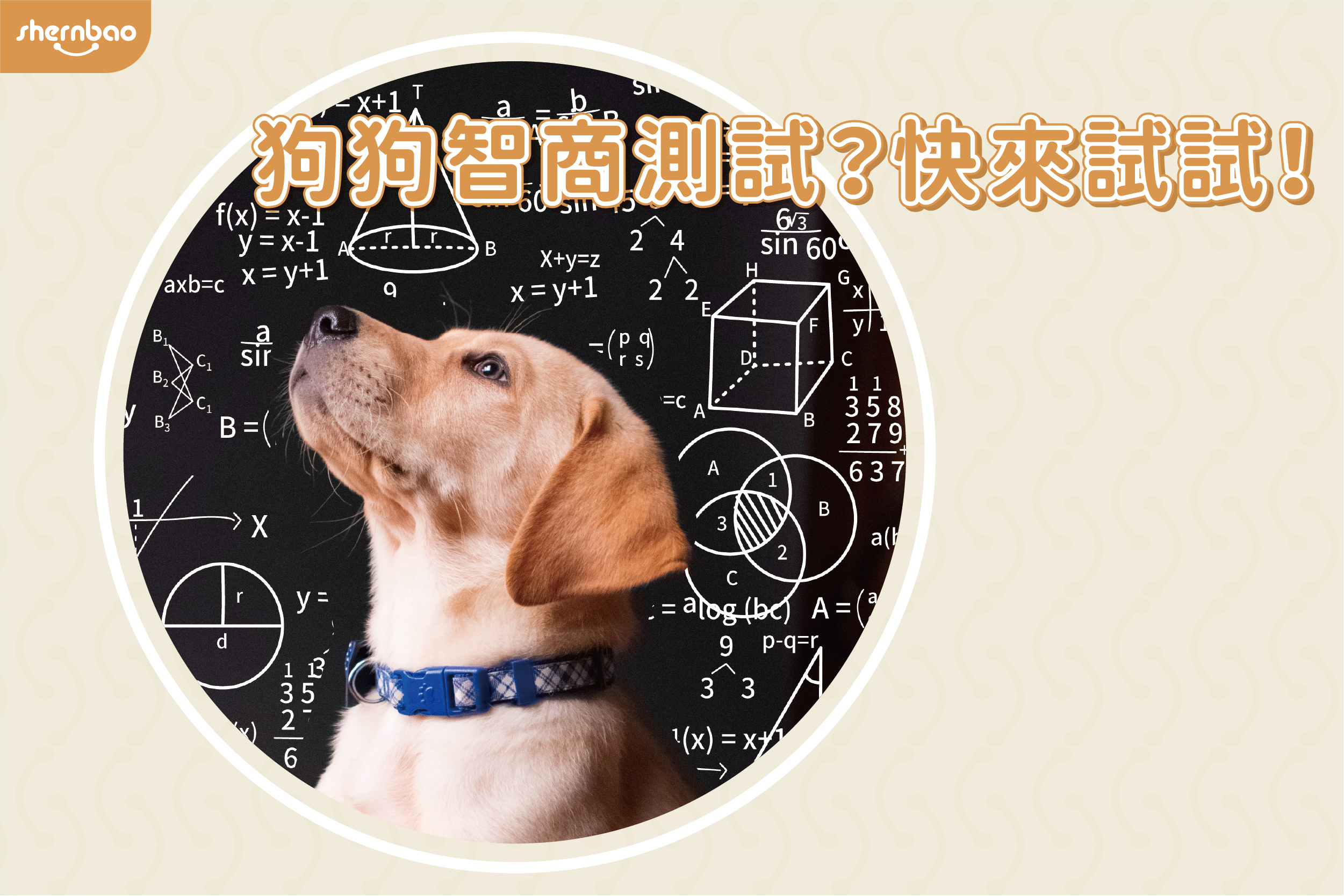 狗狗智商大測驗～！你家毛孩是愛因斯坦嗎？