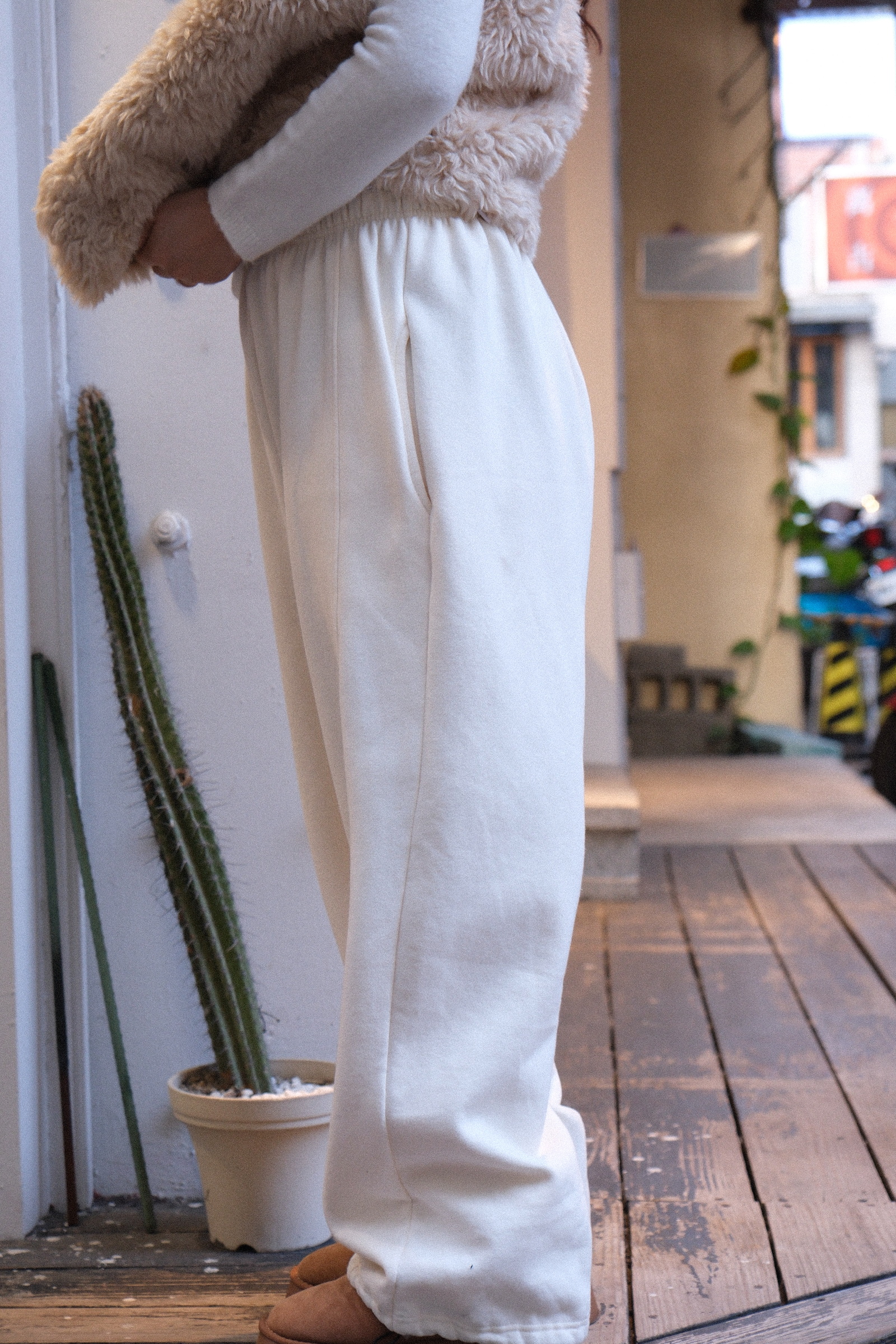 DSCF3281-1736608220470