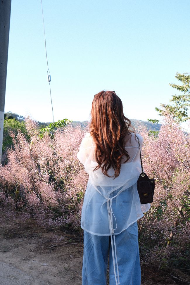 田兄BroTin |  - LADY 新款