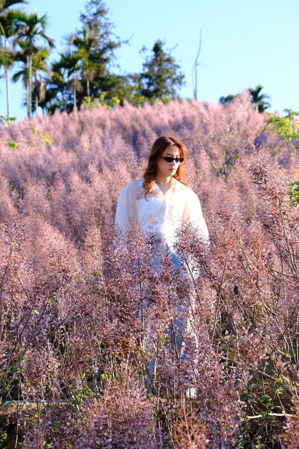 image_1FB61E5E-E5A2-435E-A710-07608477251B_1773325453