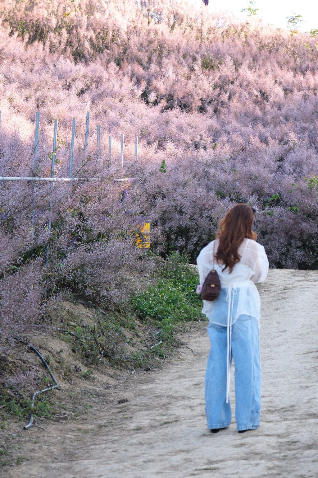 image_16952842-D5DD-42F4-854B-48D3A0D68D8E_1773325453