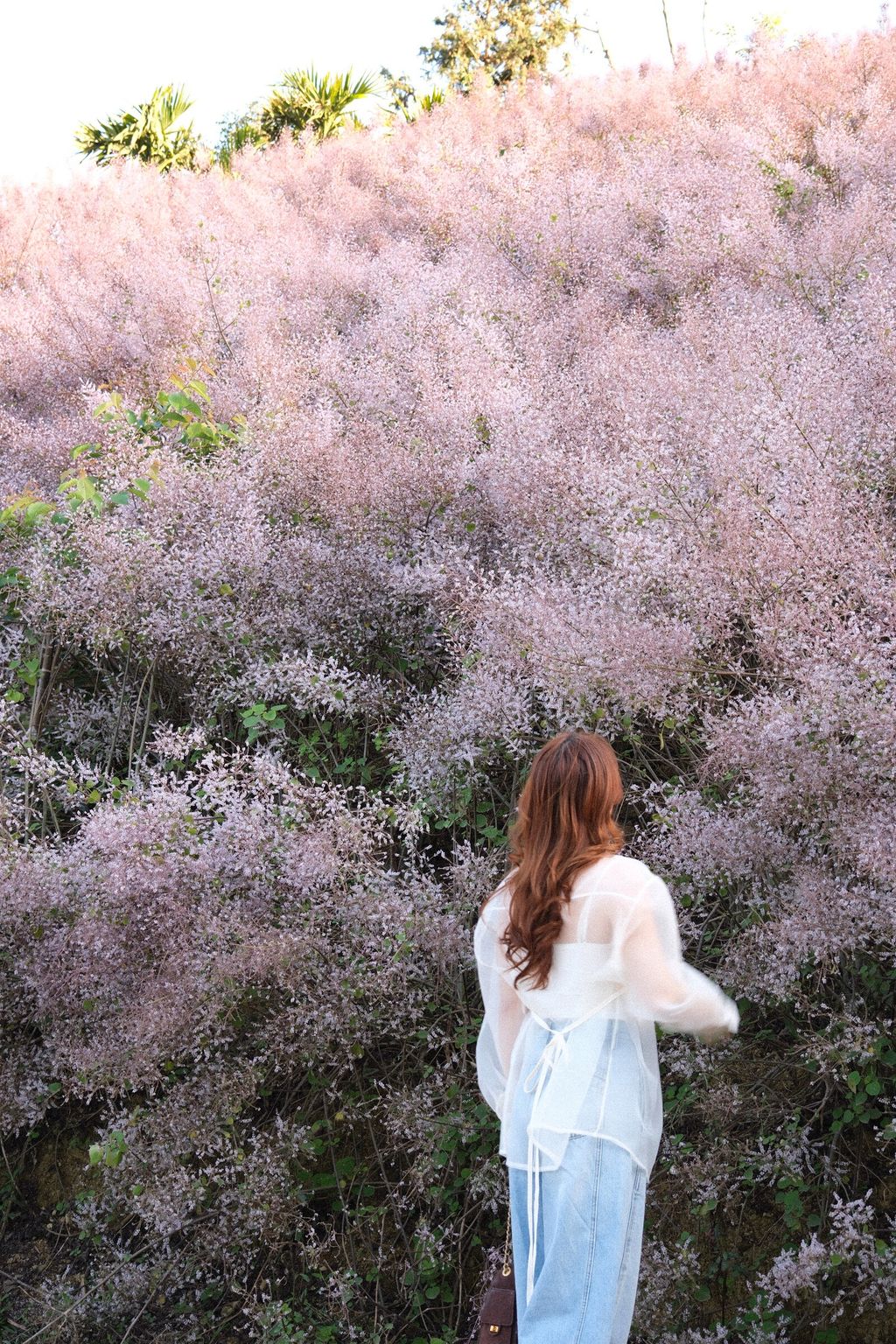 image_1B45FECC-01FB-471D-82D1-E6F510A1C5BE_1773325453