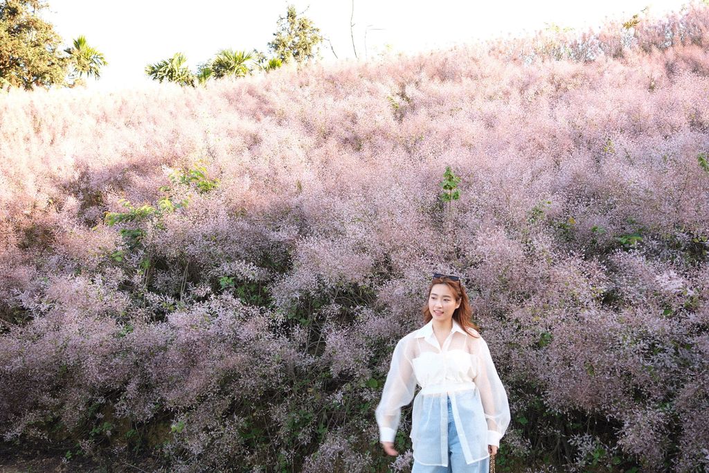 image_F904F8B8-AD03-4EFA-88EC-B387A00397AD_1773325453