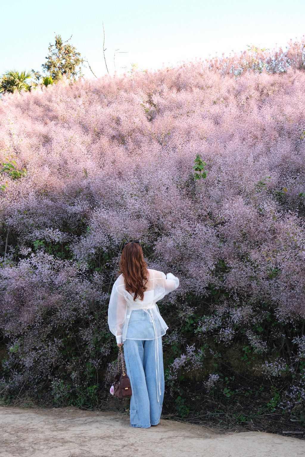 image_7FDB8519-40C3-4A3A-9794-558B29BC3B28_1773325453