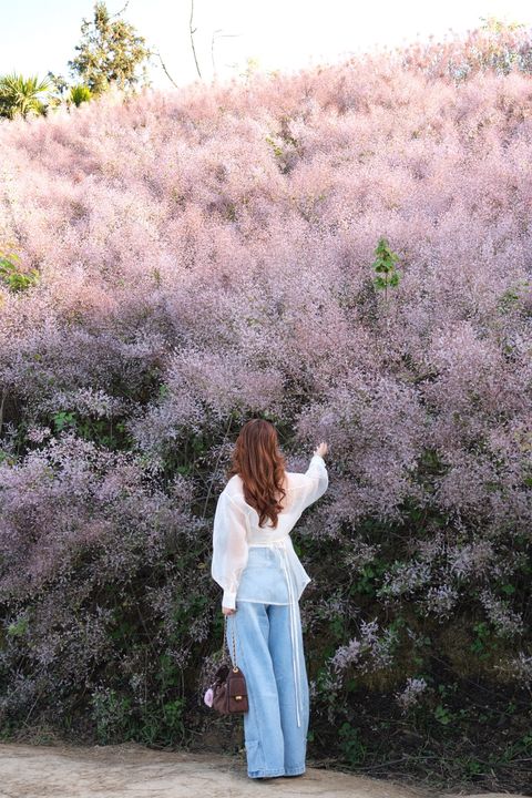 image_3C5BEF5A-F6A0-45AD-A2F2-2378ECAA2CC0_1773325453