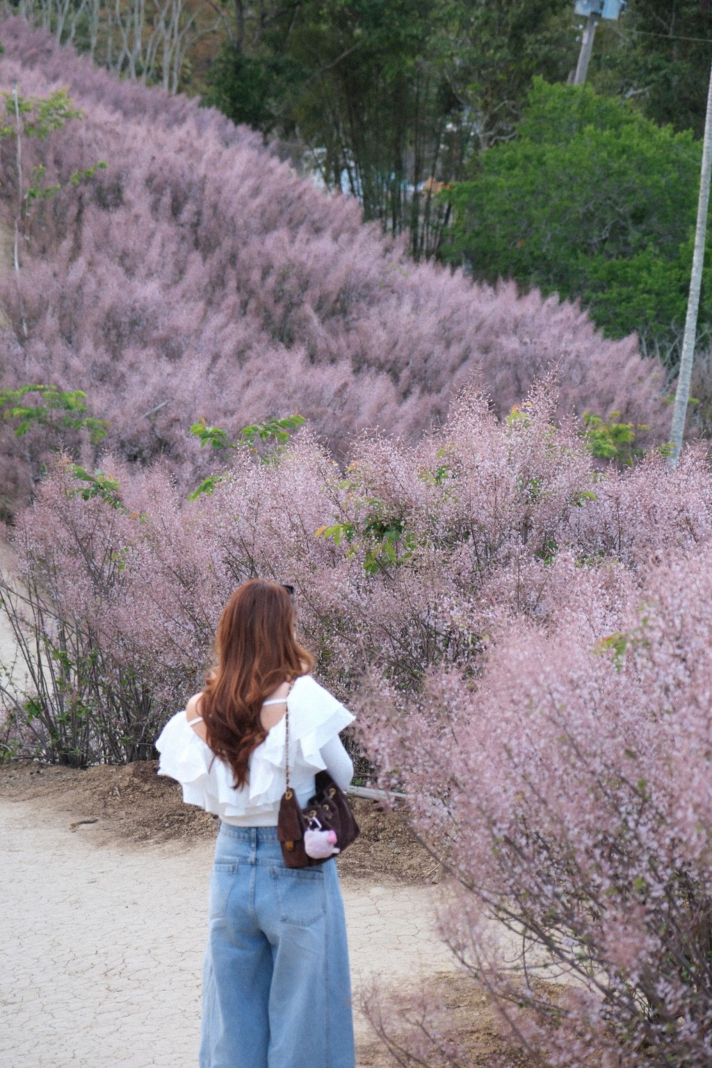 image_D28A10E2-69BE-42DD-ADB6-78A4EE11B887_1773325588