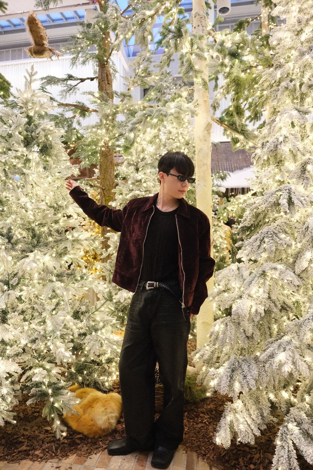 image_C9CA78B6-5F03-4780-8154-4B5ADA6EDA40_1762878076