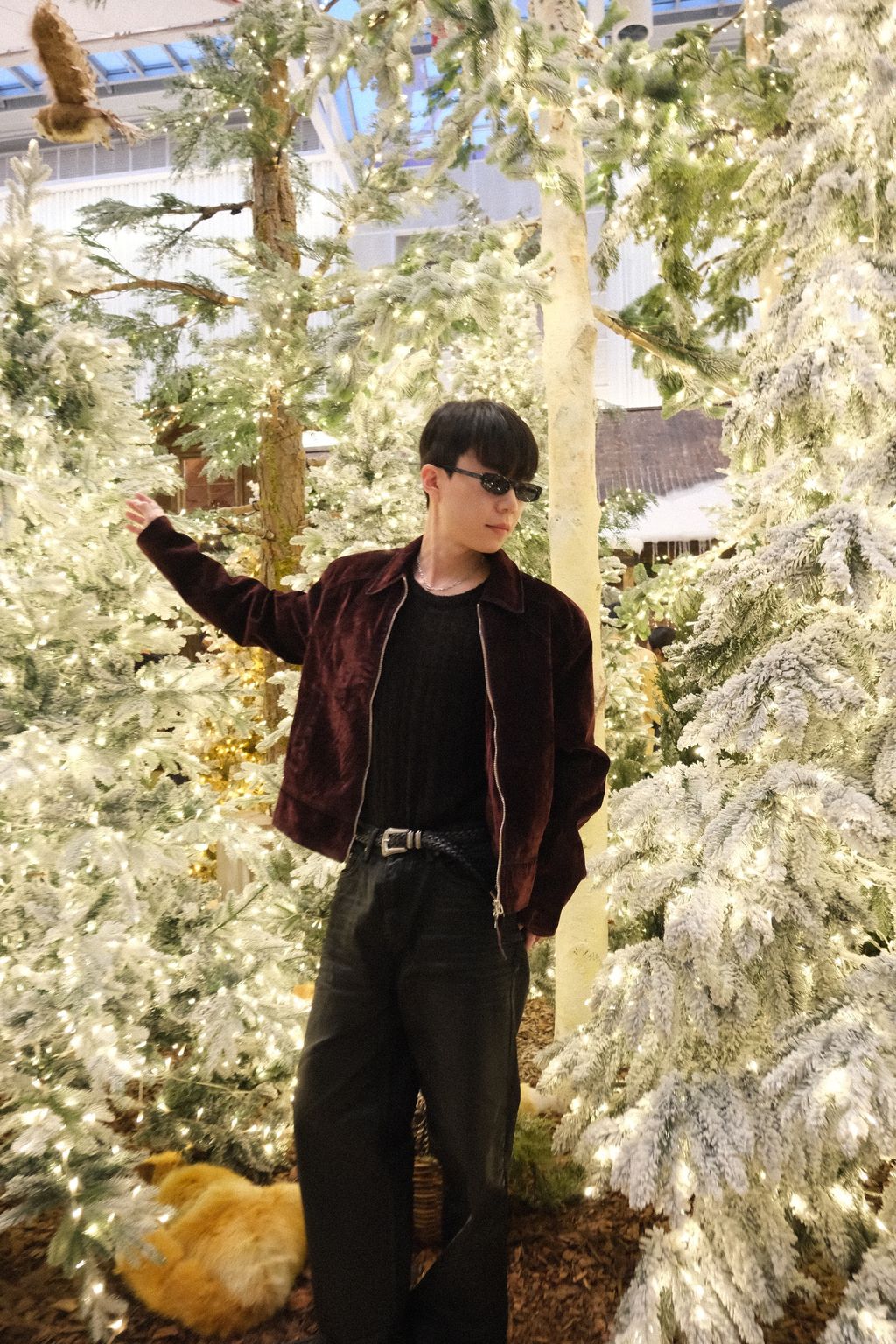 image_B7183536-C719-4682-B0E5-7689DF1DEC41_1762878076