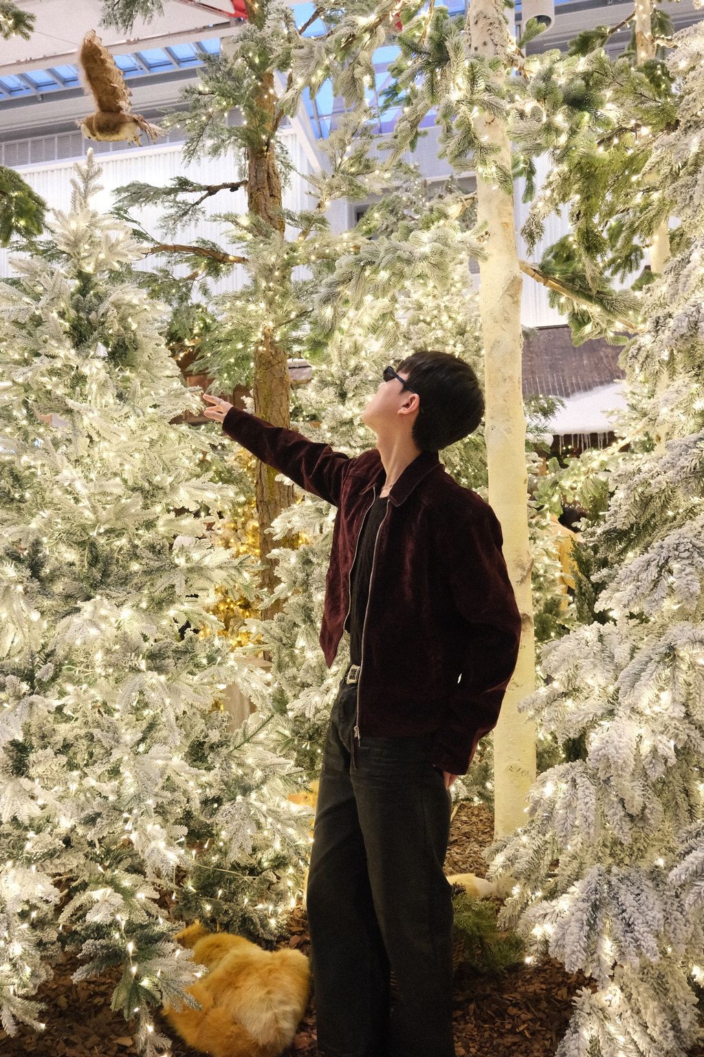 image_5055E4B8-BAC8-495A-8792-C051D2AB82CD_1762878076