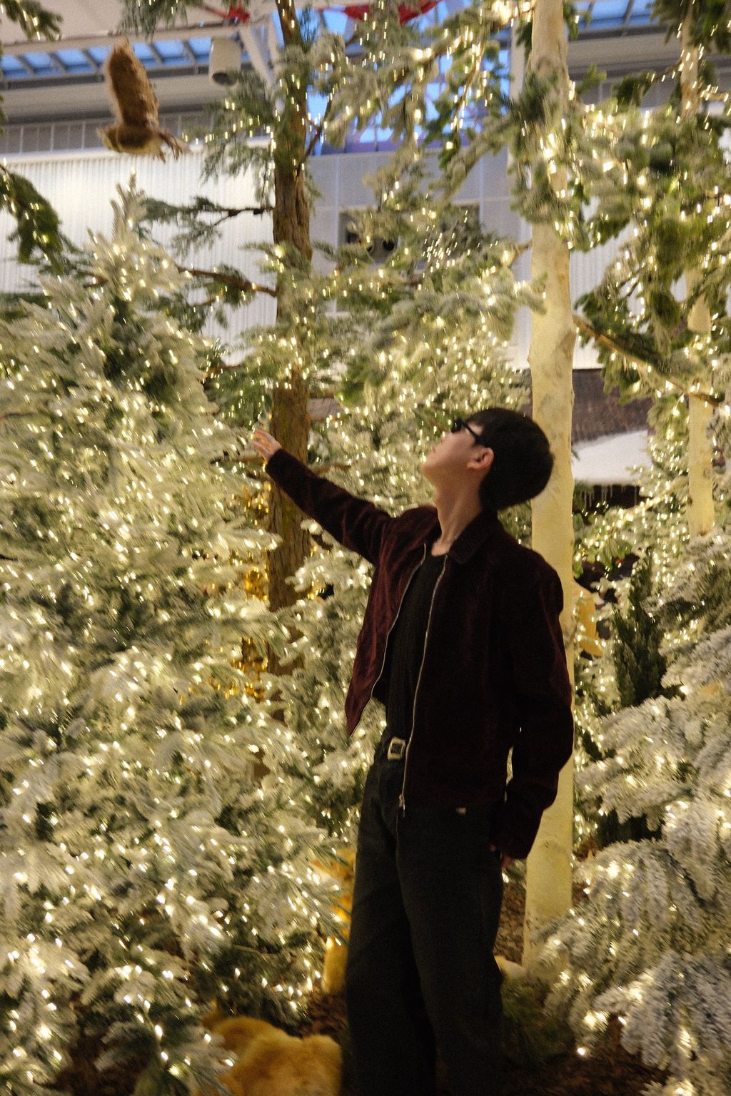 image_7C7F8774-476D-4CCE-AE31-94222AB3CFBD_1762878076