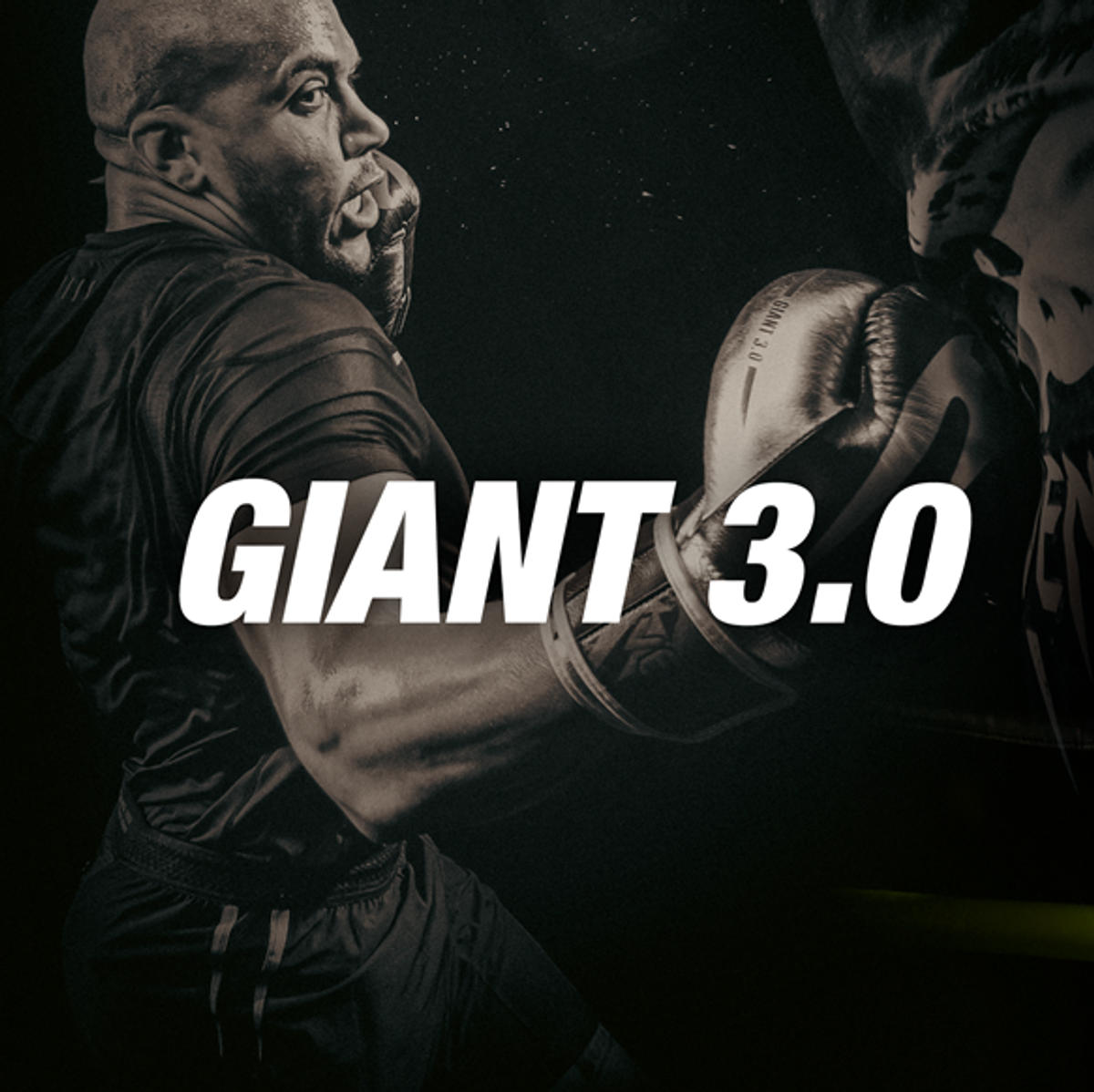 Kick Boxers | VENUM