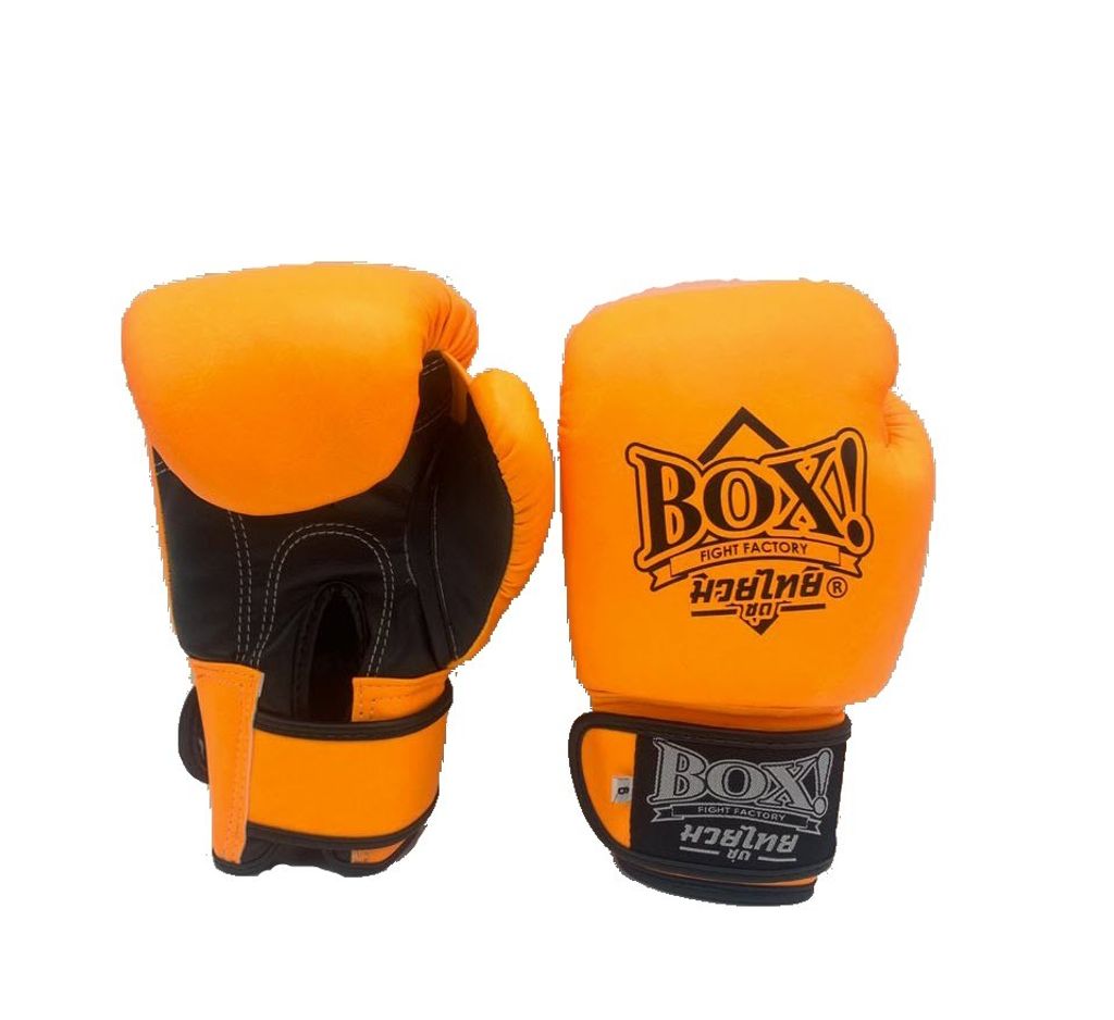 WhatsApp Image 2025-06-27 at 13.59.35_ed95aedf