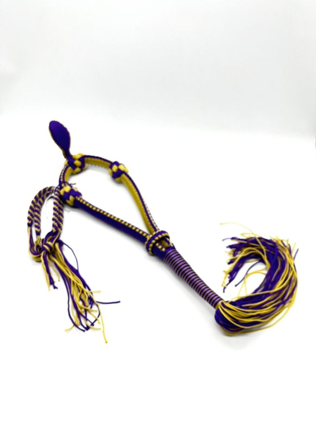 WhatsApp Image 2026-02-14 at 11.38.41 AM