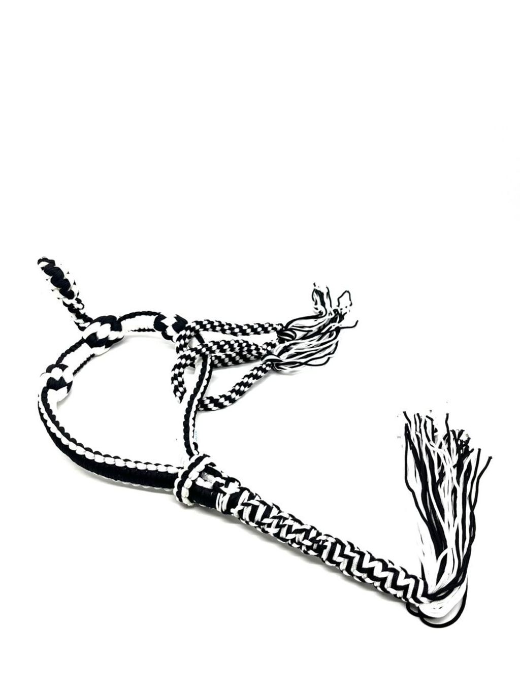 WhatsApp Image 2026-02-14 at 11.38.40 AM