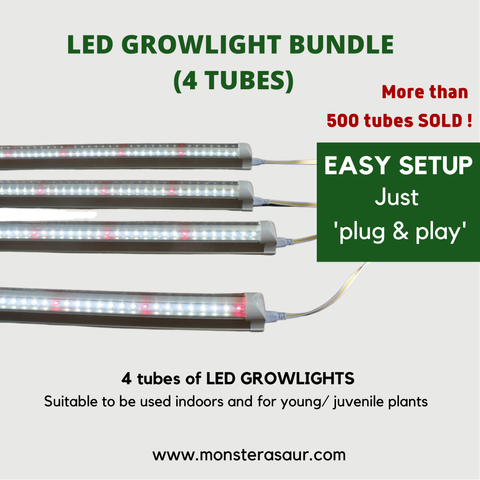Product Photos (6).png