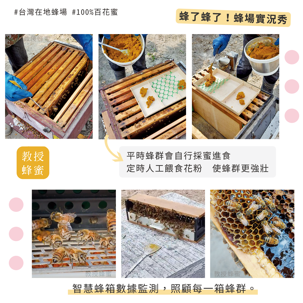 蜂蜜_敘述_c2_蜂場.png