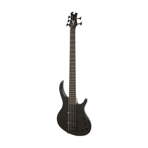 Epiphone 1.jpg