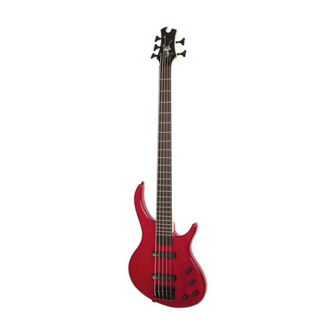 Epiphone 1.jpg