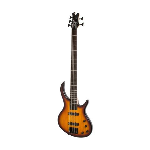 Epiphone 1.jpg