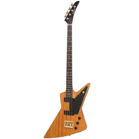 Epiphone 1.jpg