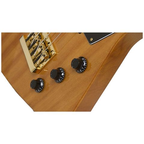 Epiphone 2.jpg