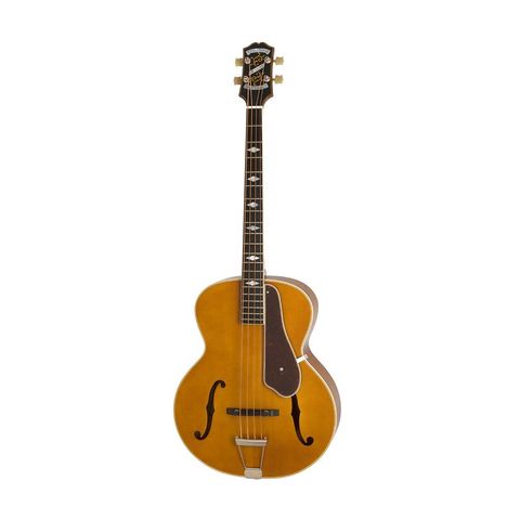 Epiphone 1.jpg