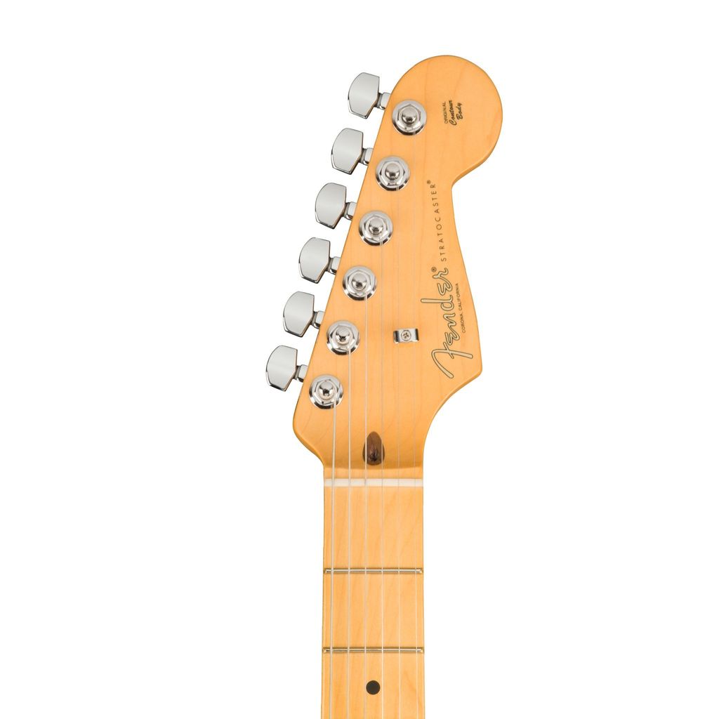 Fender 4.jpg